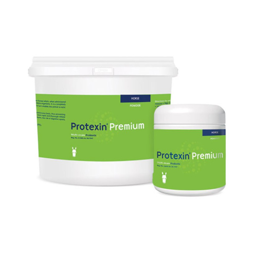 Protexin Premium (Equine)