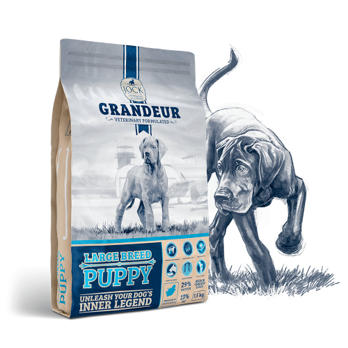 Jock Grandeur Puppy Large 2kg