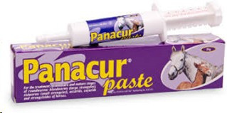 Panacur Paste 24g