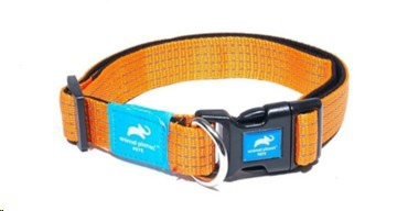 Animal Planet Premium Padded Collar Large