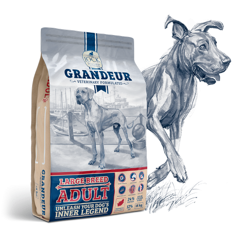 Jock Grandeur Adult Large 18kg