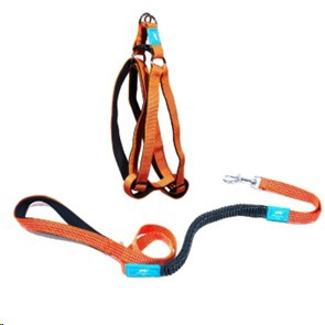 Animal Planet Step-in Harness & Anti-Shock Lead Smalll