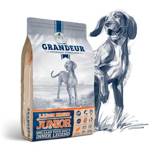 Jock Grandeur Junior Large 18kg